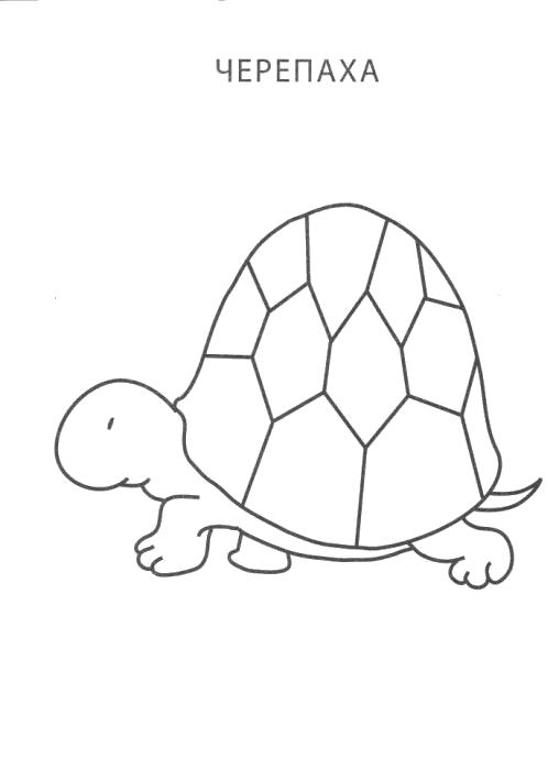 Название: Раскраска черепашка, раскраска черепашка,  черепаха идет. Категория: Черепаха. Теги: Черепаха.