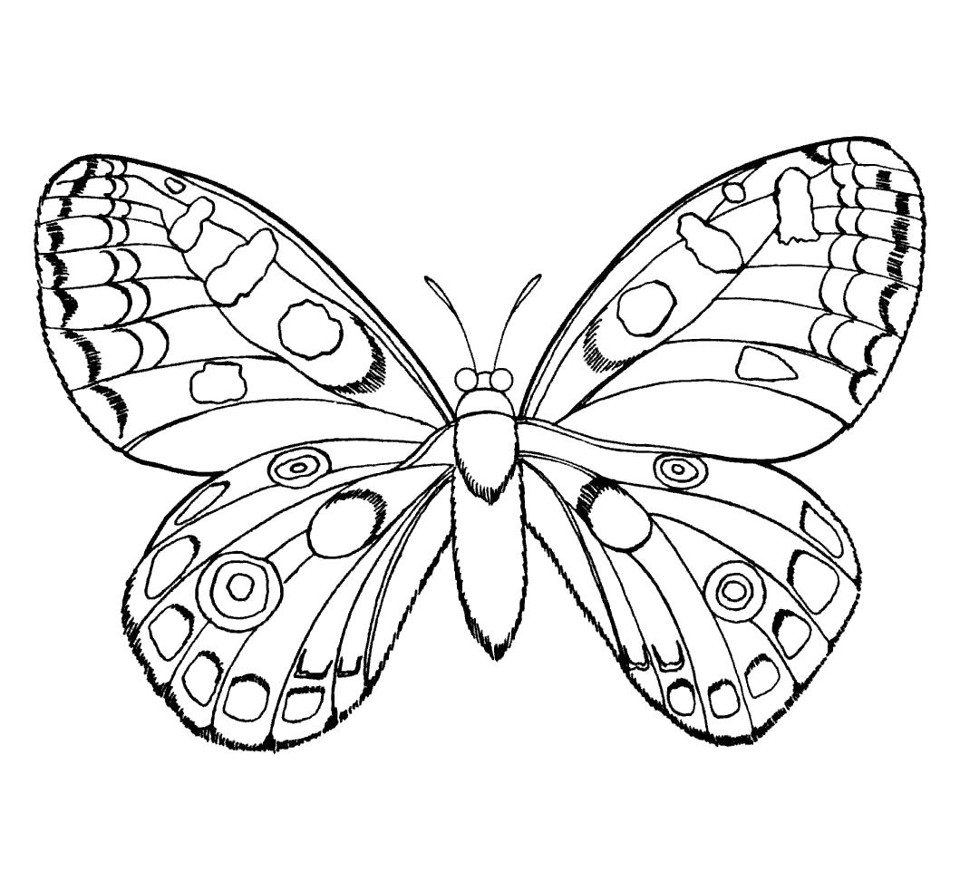 Раскраска Прекрасные крылышки. бабочка