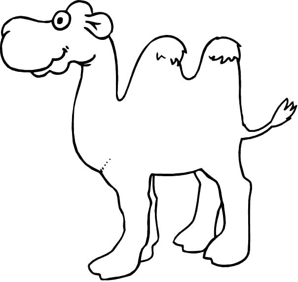 Раскраска Верблюд. Дикие животные