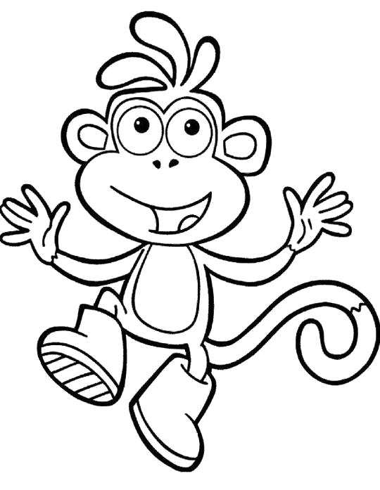 Раскраска Раскраска обезьянка очень весёлая. обезьяна
