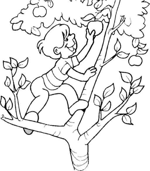 Раскраска  мальчишка на яблоне. 