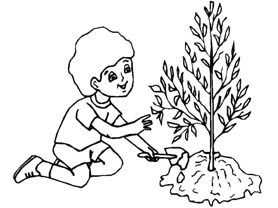 Раскраска  Ребенок сажает дерево. Скачать растения.  Распечатать растения