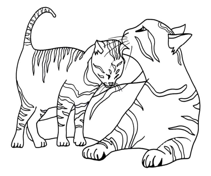 Раскраска Кошка и котята для детей распечатать бесплатно для девочек в формате а4