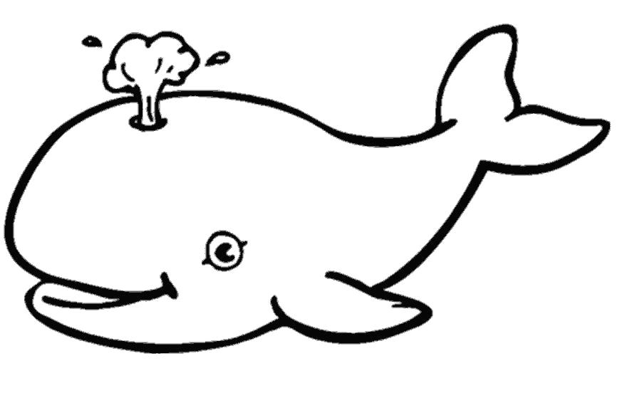 Раскраска кит выпускает фонтан воды. Кит