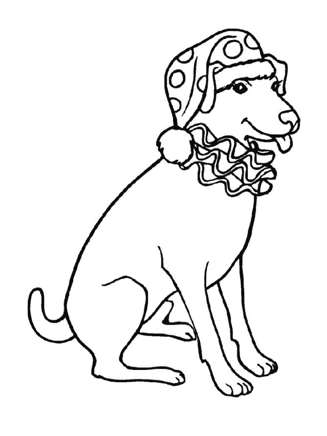 Название: Раскраска Раскраска Собака. Категория: Домашние животные. Теги: Щенок, Собака.