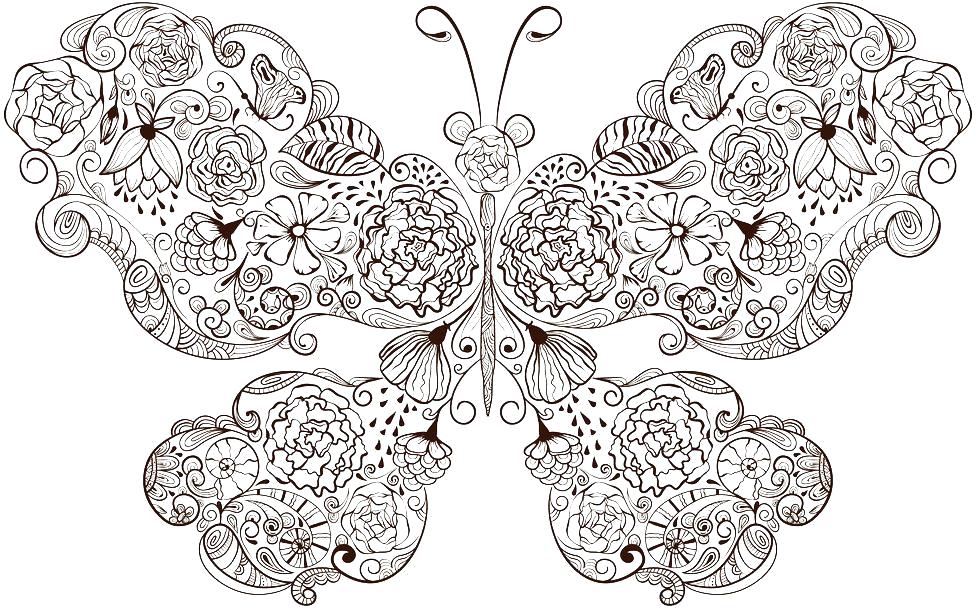 Раскраска Раскраска бабочка. Насекомые