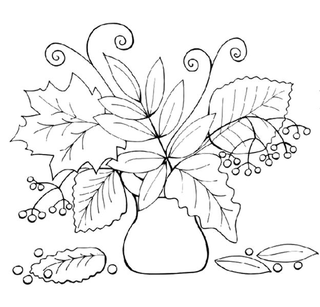 Раскраска гербарий. Осень