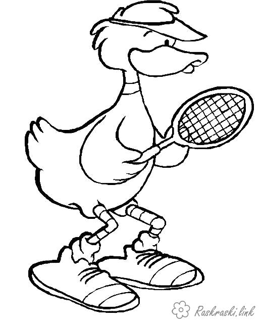 Название: Раскраска Раскраски утка теннис. Категория: Домашние животные. Теги: Утка.