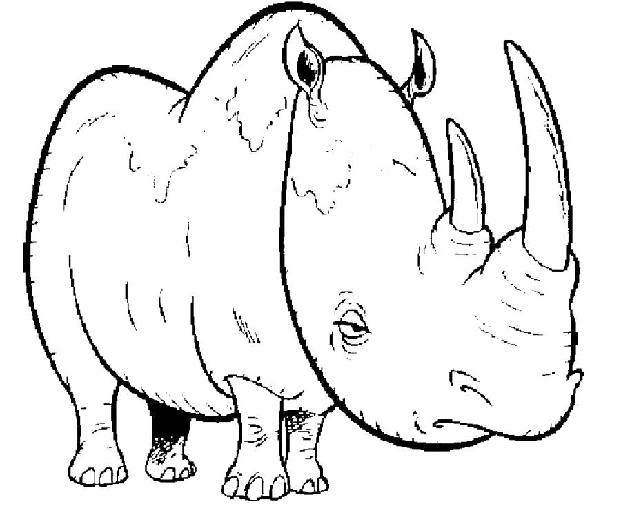 Раскраска Грустный носорог . Дикие животные