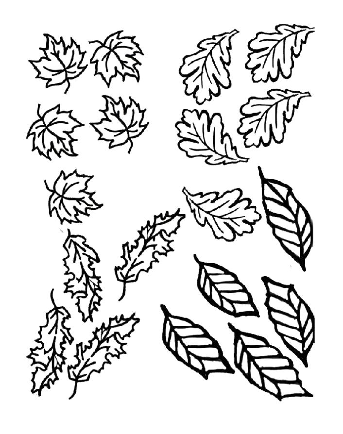 Название: Раскраска Разукрашка осенние листья. Категория: Контуры листьев. Теги: Контуры разных листьев для вырезания.
