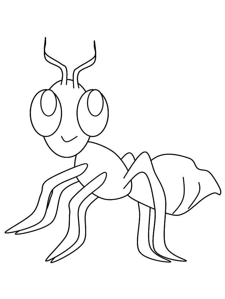 Название: Раскраска Раскраска муравей. Категория: Насекомые. Теги: Муравей.