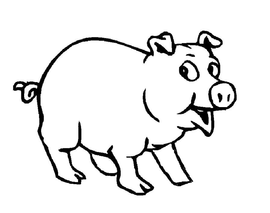 Название: Раскраска Свин. Категория: Домашние животные. Теги: Свинья.