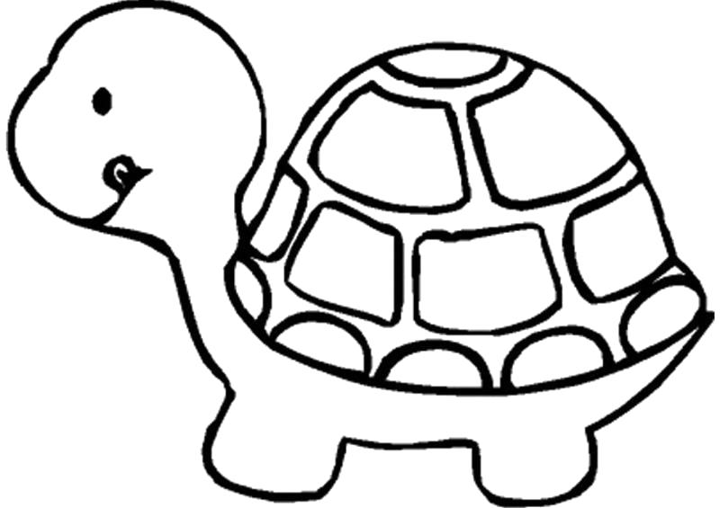 Раскраска Чьей характерной особенностью, млекопитающее -  черепаха.. Скачать Черепаха.  Распечатать Дикие животные