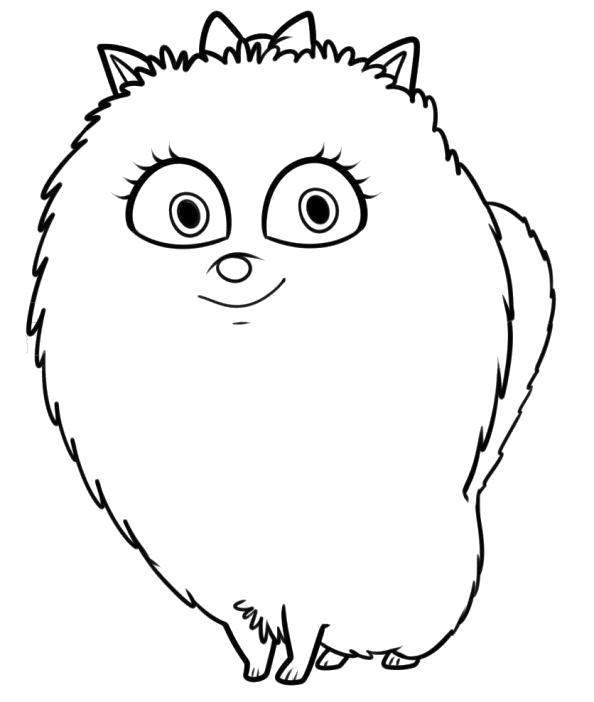 Раскраска Пушистый котик. животных