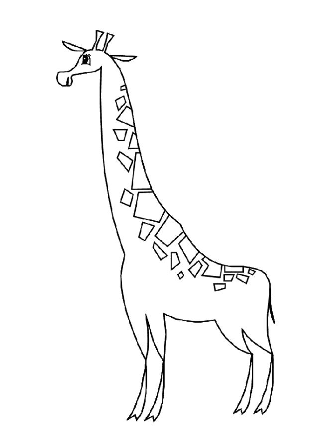 Раскраска Разукрашка Жираф для детей. жираф